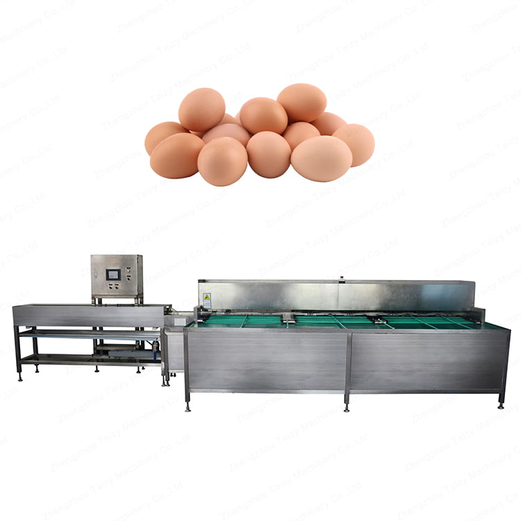 Electronic egg grading machine for sorting egg