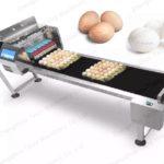 Egg printing machine